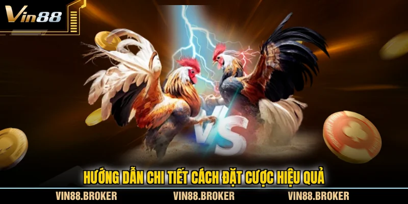Hướng dẫn chi tiết cách đặt cược hiệu quả