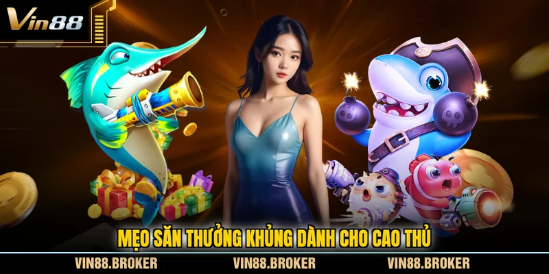 Mẹo săn thưởng khủng dành cho cao thủ