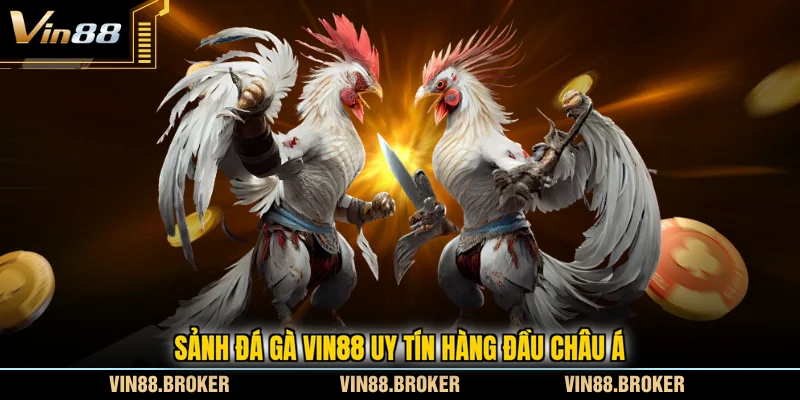 Sảnh đá gà VIN88 uy tín hàng đầu châu Á