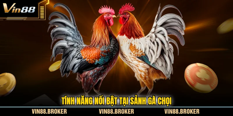 Tính năng nổi bật tại sảnh gà chọi